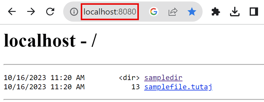 How to run Web File Server in the Container