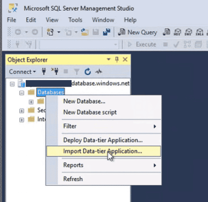 Import Database using SSMS